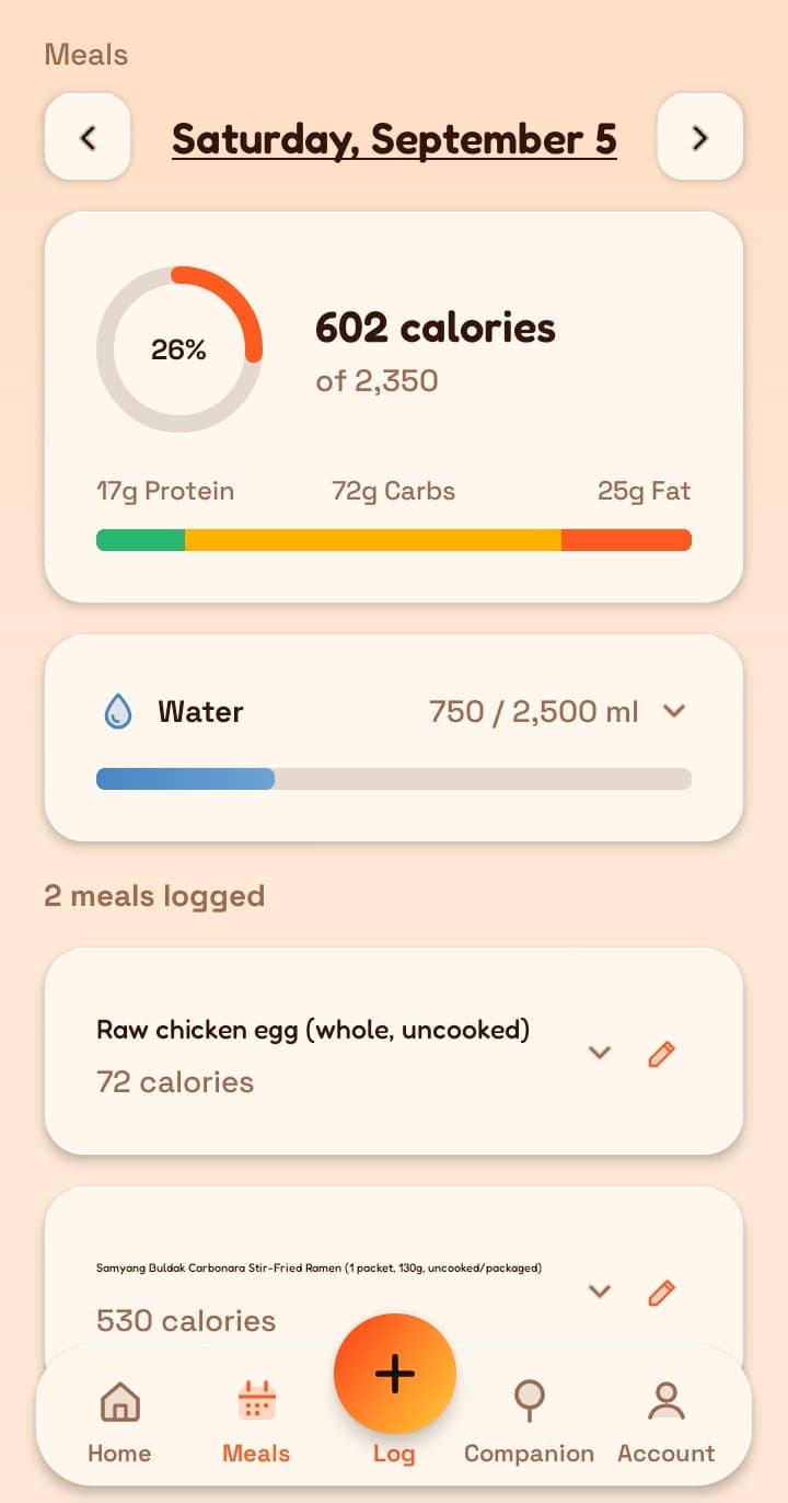 Katori meals screen showing the day view, calorie ring, water and logged meals