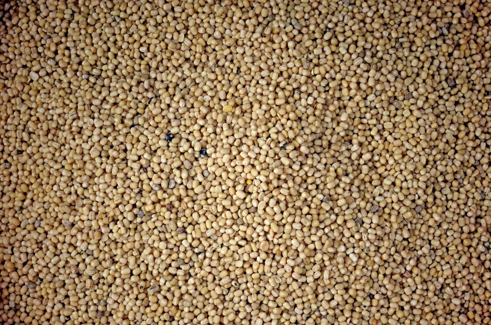 Dry skinned urad beans in a heap at a shop